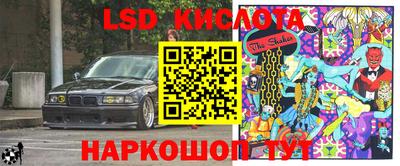 ECSTASY Гай