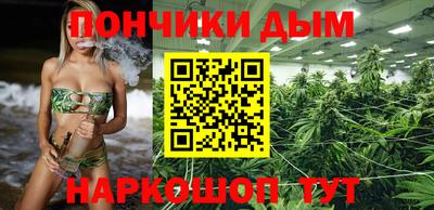 хмурый Гатчина